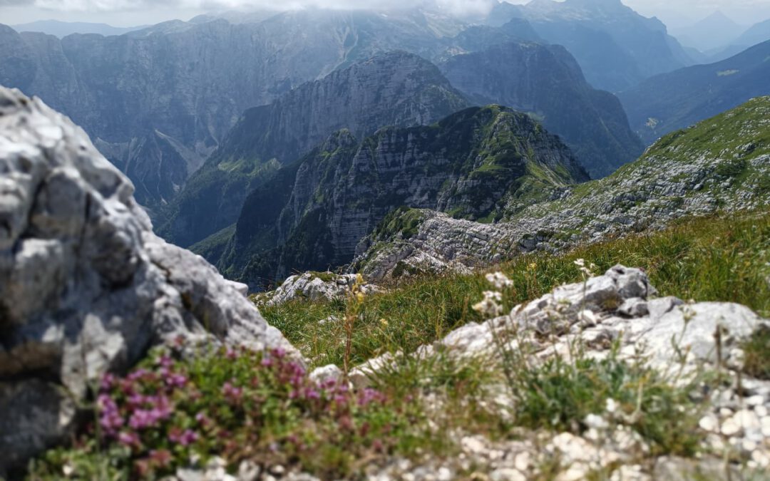 Achtsamkeit auf dem Weg